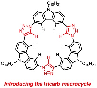 Tricarb macrocycles